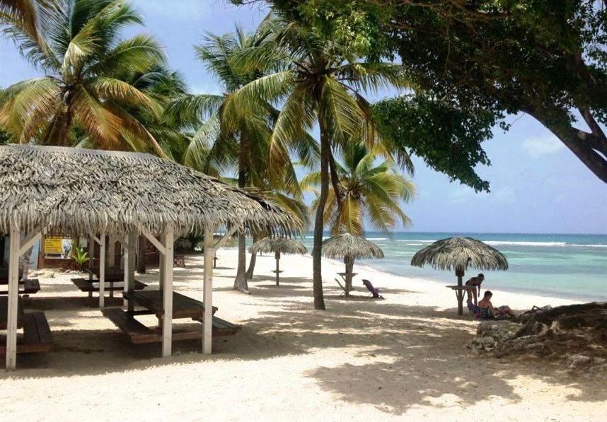 Le Ti'Paradise Anse Des Rochers Belle-Allee Luaran gambar