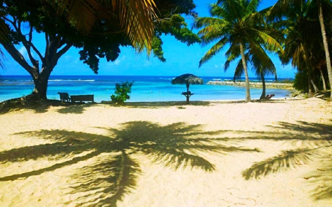Le Ti'Paradise Anse Des Rochers Belle-Allee Luaran gambar