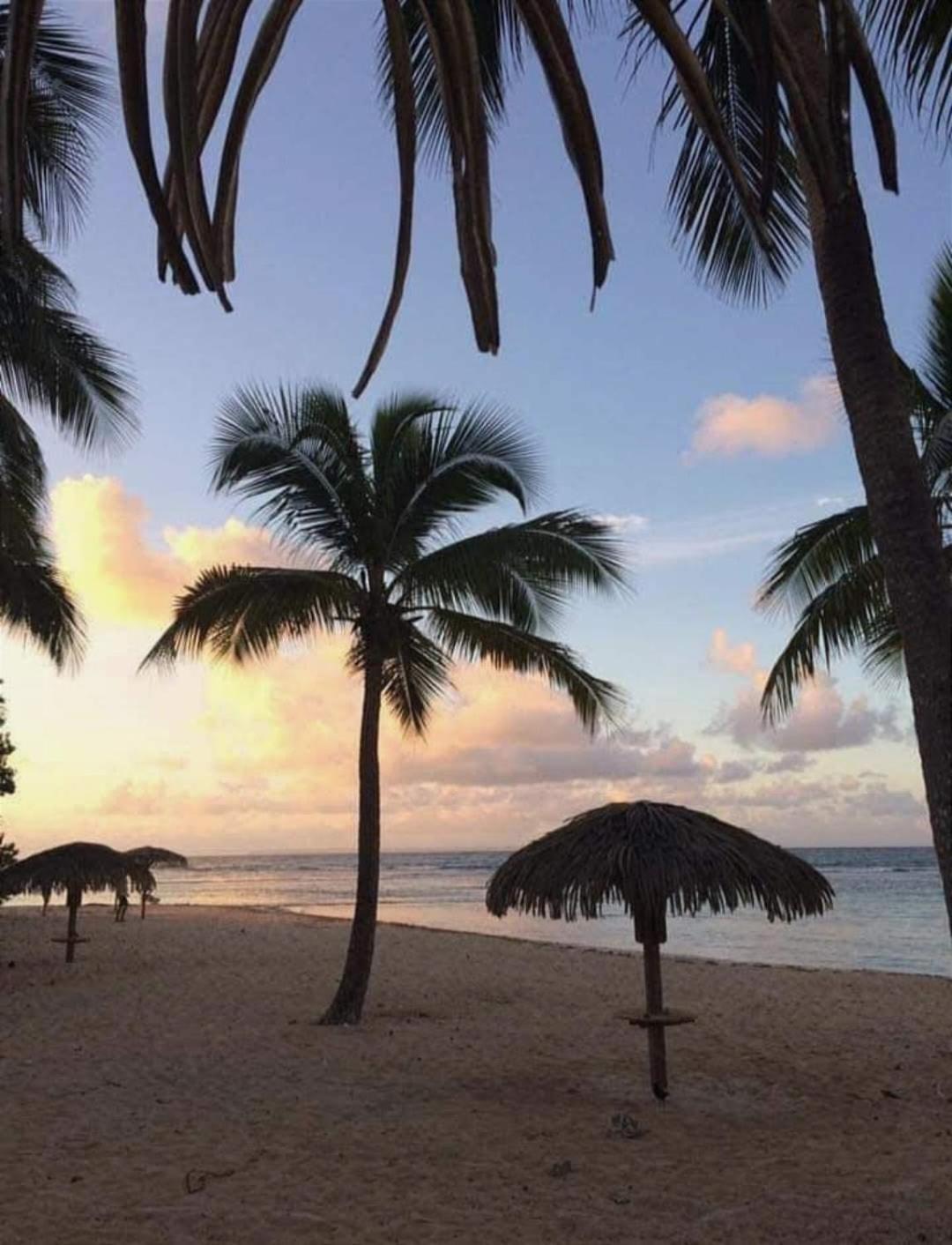 Le Ti'Paradise Anse Des Rochers Belle-Allee Luaran gambar