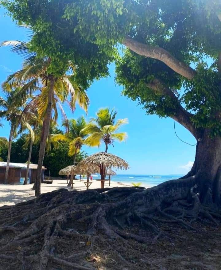 Le Ti'Paradise Anse Des Rochers Belle-Allee Luaran gambar